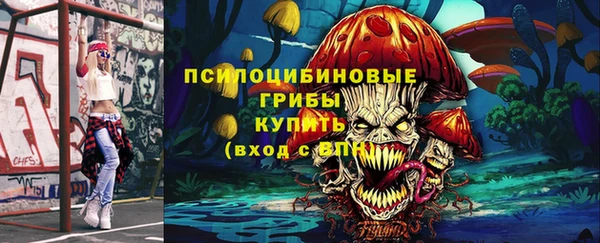 крисы Алзамай