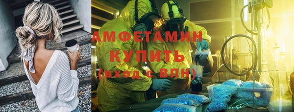 крисы Алзамай