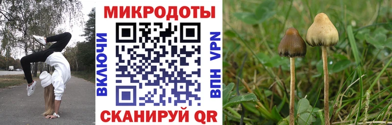 Псилоцибиновые грибы Psilocybine cubensis  гидра как войти  Нытва 