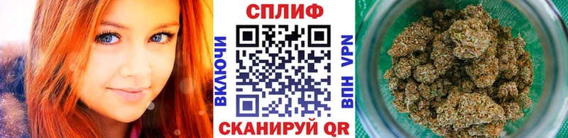 Канабис Amnesia  купить  сайты  ссылка на мегу как войти  Нытва 